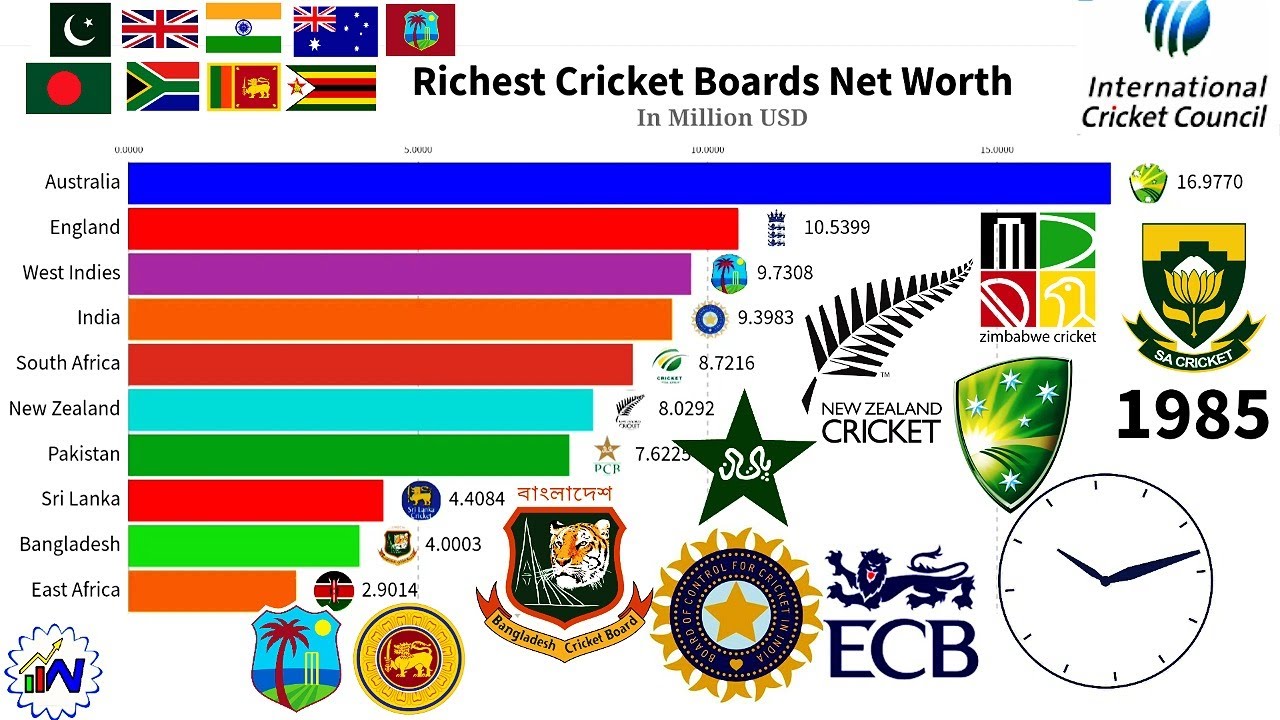 10 Rochest Cricket board in the world