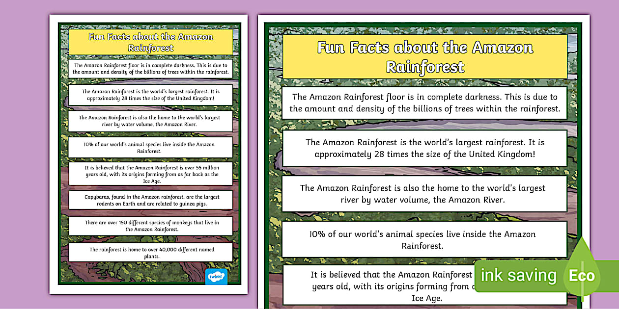 10 Incredible facts about Amazon Rainforest